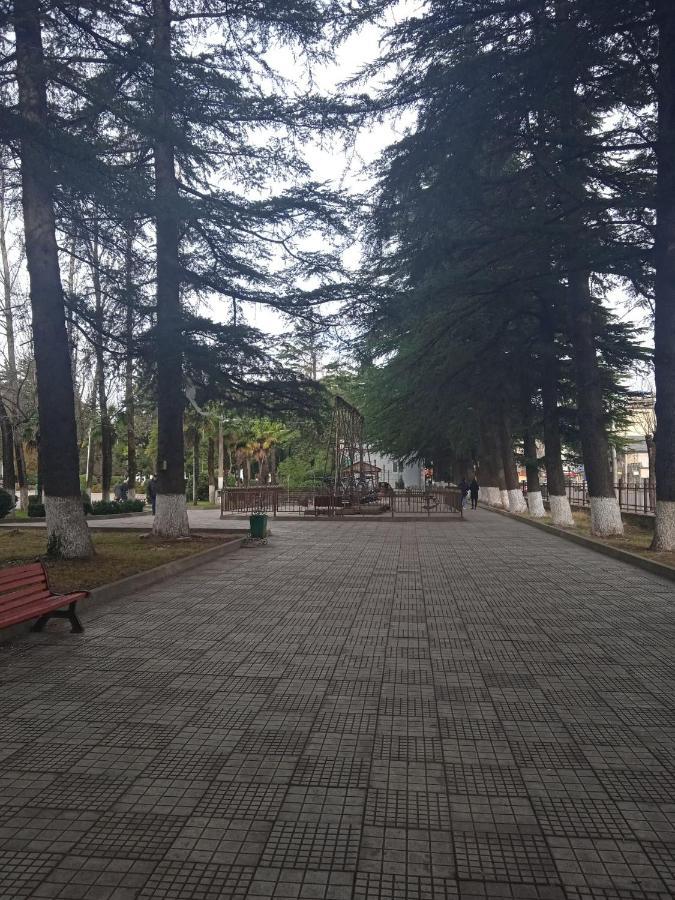 Silence Διαμέρισμα Κουτάισι Εξωτερικό φωτογραφία